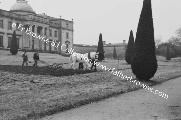 PLOUGHING OF DAIRY HILL